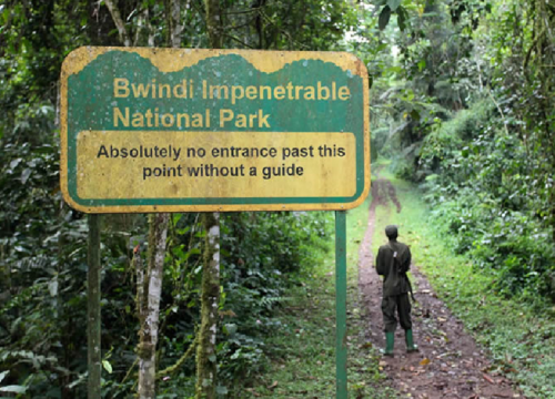 11 Days Wings Over East Africa