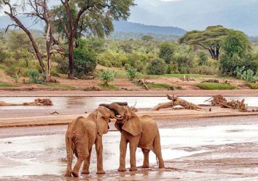 8 days 7 Nights Highlights of Kenya 